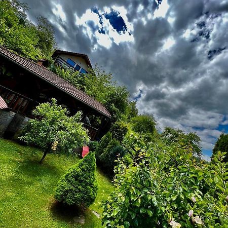 Cabana Vanatorilor Poiana Mărului Esterno foto
