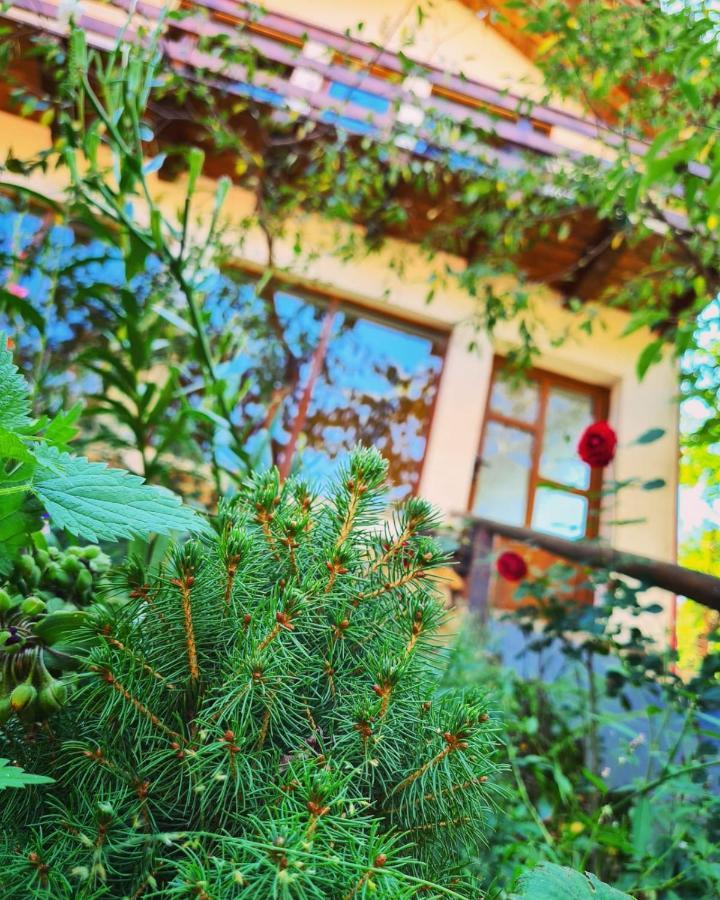 Cabana Vanatorilor Poiana Mărului Esterno foto