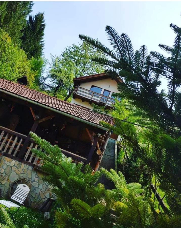 Cabana Vanatorilor Poiana Mărului Esterno foto