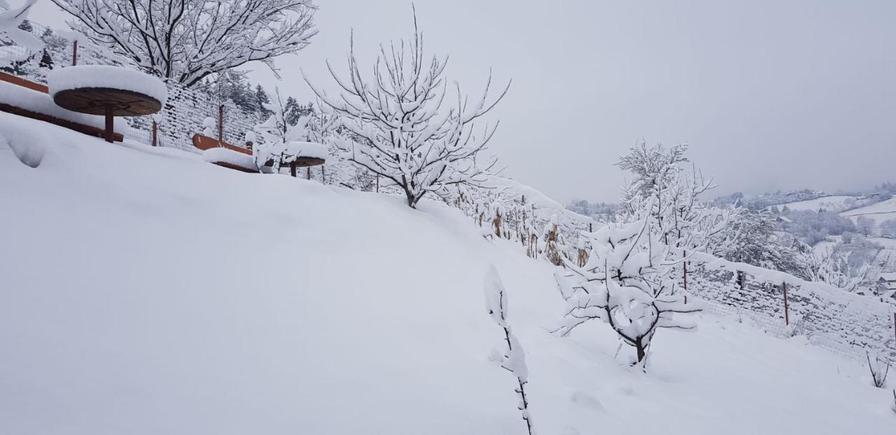 Cabana Vanatorilor Poiana Mărului Esterno foto