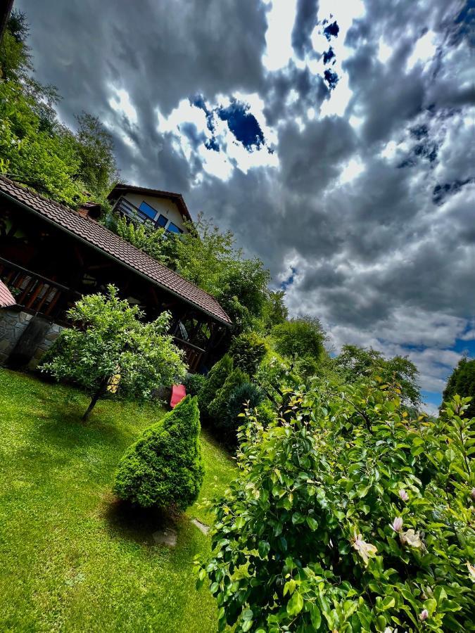 Cabana Vanatorilor Poiana Mărului Esterno foto
