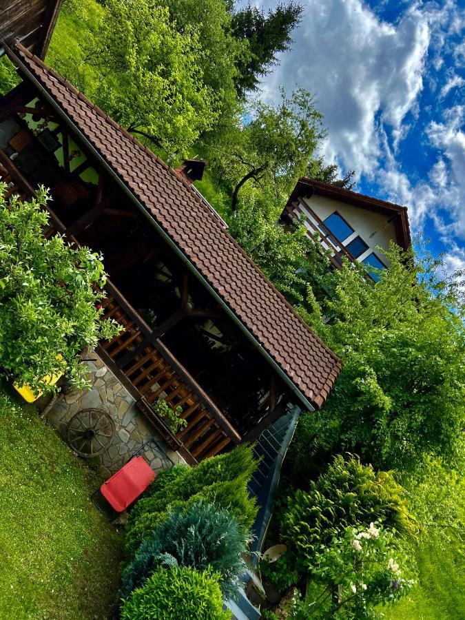 Cabana Vanatorilor Poiana Mărului Esterno foto